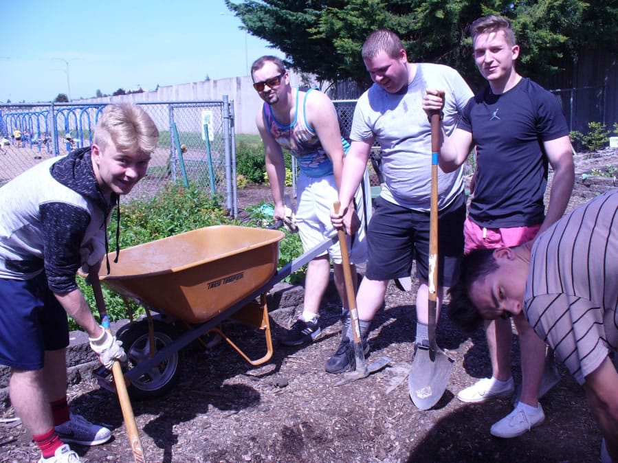 Hazel Dell: Clark College students from Kristen Myklebust’s Food and Your Health classes work and dig to create a French drain at the Hazel Dell School and Community Garden. From left: Nicholas Campbell, Josh Loring, Jeff Freeman, Nazar Dimidenko and Denis Mocanu.