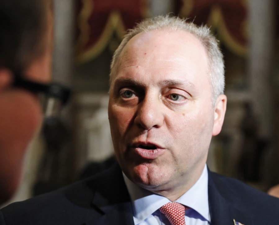 Majority Whip Rep. Steve Scalise, R-La., speaks with the media on Capitol Hill in Washington.