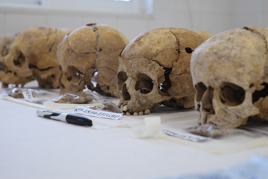 Skulls of the missing persons are seen May 3 in the anthropologist laboratory of Cyprus Missing Persons inside the U.N buffer zone in the divided capital Nicosia, Cyprus. Over 11 years of work, Cyprus’ Committee on Missing Persons has worked diligently to help heal a gaping wound from this tiny east Mediterranean island’s tumultuous past.