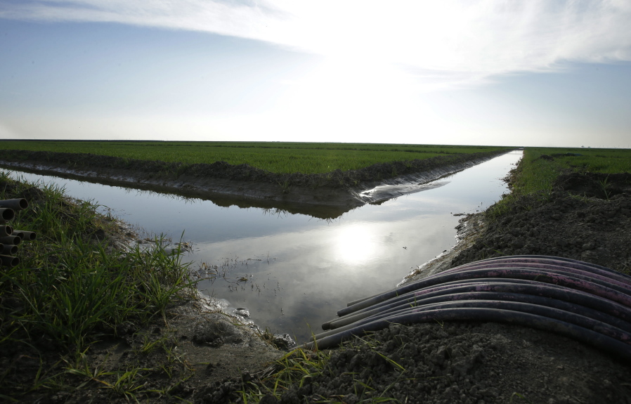 Water flows through an irrigation canal to crops near Lemoore, Calif.
