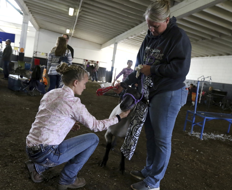 Johanna Simonson, 13, of Sutherlin, Ore. and her mother Kelly Simonson groom lamb, "Hay Hay", before competing at the 2017 Douglas County Lamb Show in Roseburg, Ore., on Saturday June 3, 2017.