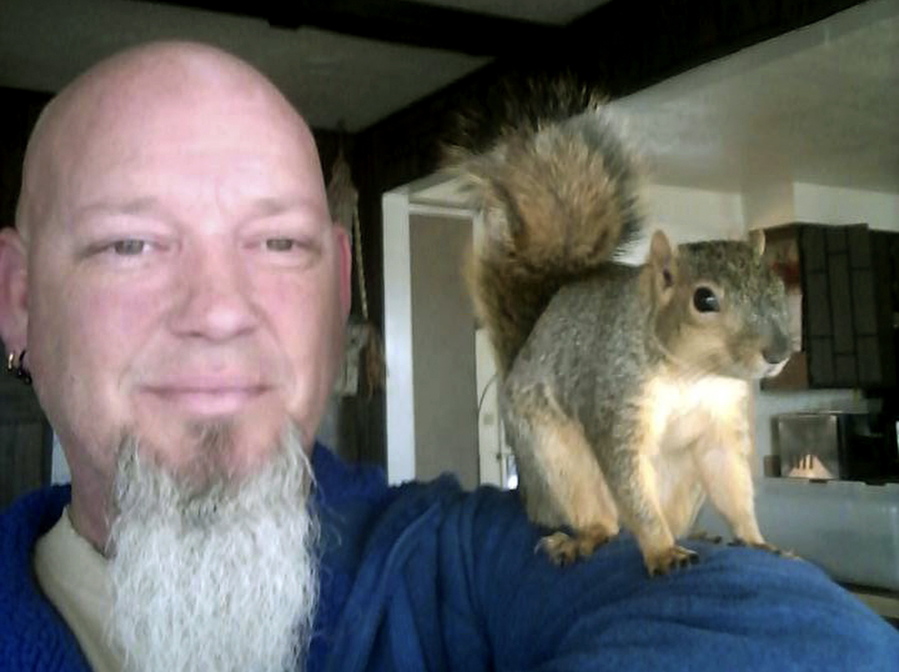 Adam Pearl and his pet squirrel, Joey, pose for a photo in Meridian, Idaho. Pearl says Joey climbed onto his shoulder earlier in June, then scampered up a tree at his Meridian home and hasn’t been seen since. Below: Pearls’ friends found Joey on the ground late in the summer of 2016 after he fell out of his nest.