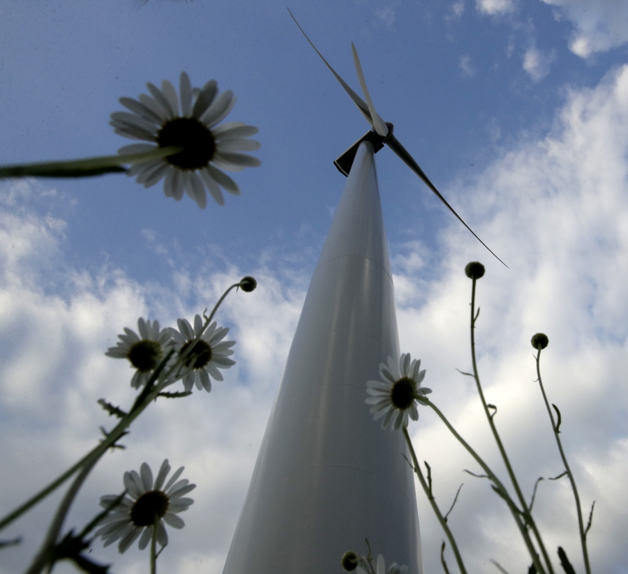 A wind turbine, part of the Lost Creek Wind Farm, stands above a field of daises Thursday, June 1, 2017, near King City, Mo. President Trump announced on Thursday that the United States would withdraw from the Paris climate accord, raising some doubt on the future of renewable sources of energy like wind and solar.