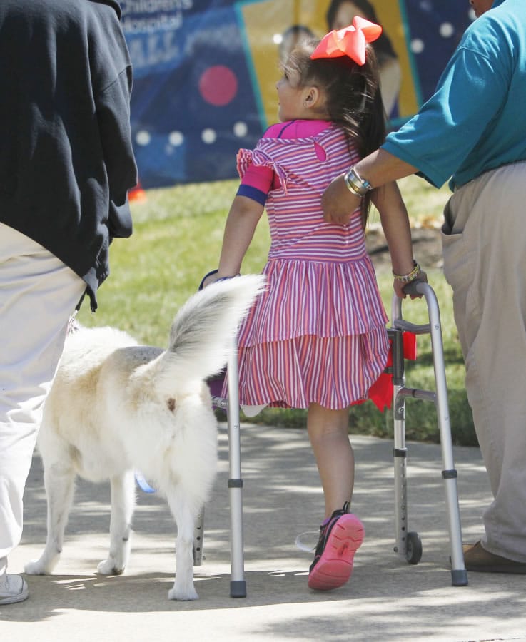 Tessa Puma, 6, works with physical therapy assistant Turranna Rice, right, and Doggie Brigade member Grace, with her handler Chris Witschey, left, as they walk around the park in front of Akron Children’s Hospital on June 20, 2017, in Akron, Ohio. Tessa often works with therapy animals at the hospital, including Grace, who is also an amputee.