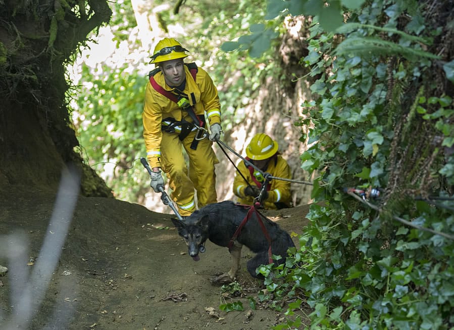 Camas-Washougal Fire Department officers Dane Hammond, front, and James Tierney help rescue a dog that was trapped down a steep canyon in Camas since at least Wednesday morning.