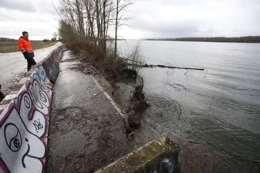 WSDOT spokesman Bart Treece visits the dead end of Lower River Road in early 2016 to examine ongoing erosion. This road segment is now permanently closed to public use; even if the area becomes a wildlife sanctuary, officials don’t want public bike or pedestrian paths going through it.