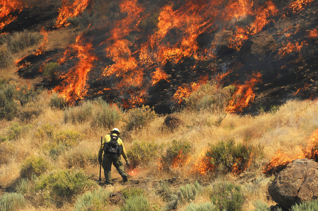 Crews work to protect a home site as they battle a wildfire along Pyramid Highway, Wednesday, July 5, 2017, near Reno, Nev. A day after beating back flames to prevent damage to dozens of rural homes, fire officials on Wednesday advised more residents to evacuate with their animals ahead of one of several blazes sweeping across hot, dry northern Nevada rangelands.