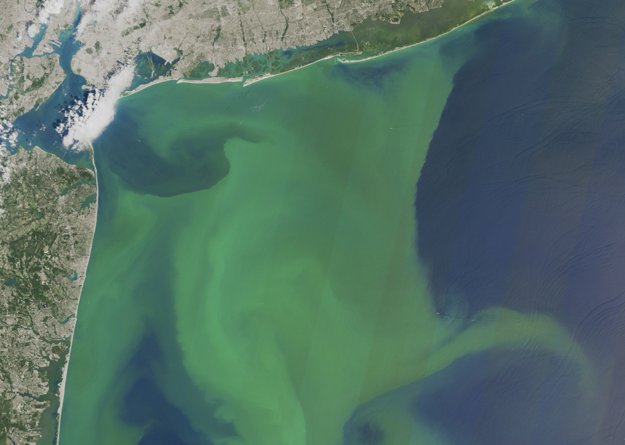 A satellite photo shows a large bloom of phytoplankton off the coast of New York and New Jersey in 2015.