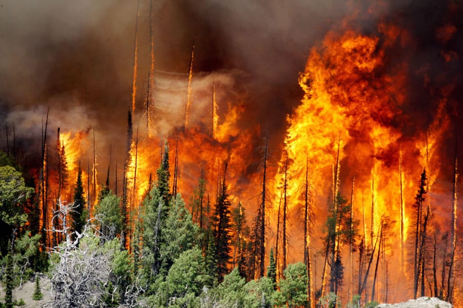 A wildfire burns June 23 near Brian Head, Utah. The blaze forced some 1,500 people from their homes and cost about $34 million to fight.