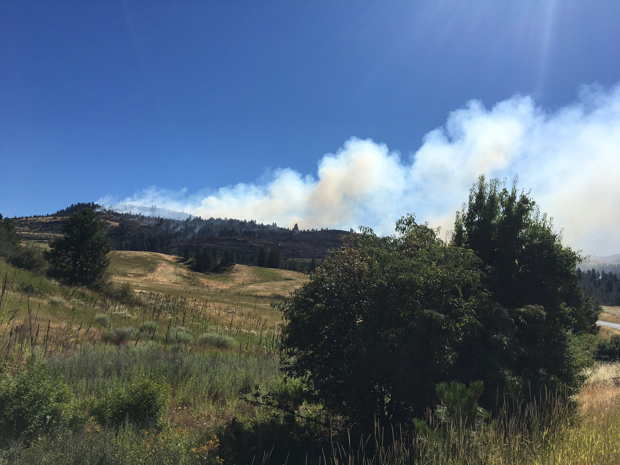 The Bissell Fire has gown to about 350 acres and is 0 percent contained Monday morning in northeast Washington. (WSP Trooper J.