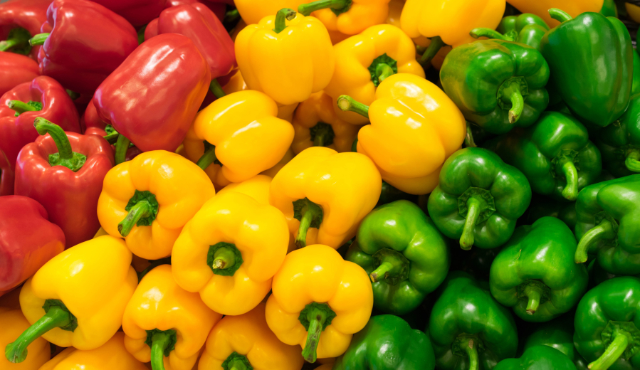 The coloring of bell peppers comes mostly from their maturity level.