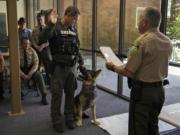 Gus looked up at his handler, Deputy Erik Dunham, as  Sheriff Chuck Atkins, right, conducted the ceremony to swear in Gus at the Clark County Sheriff's Office headquarters on Tuesday afternoon.