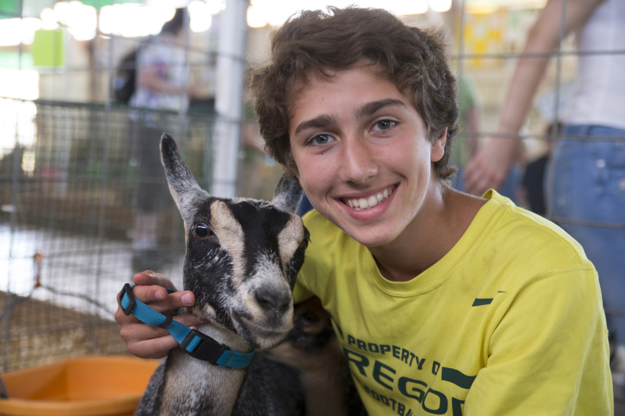Fourteen-year-old Steven Schmidt of Battle Ground and Twilight, who produced some of the milk for his mozzarella cheese that earned a blue ribbon Saturday in the dairy goat cheese competition at the Clark County Fair. (Randy L.