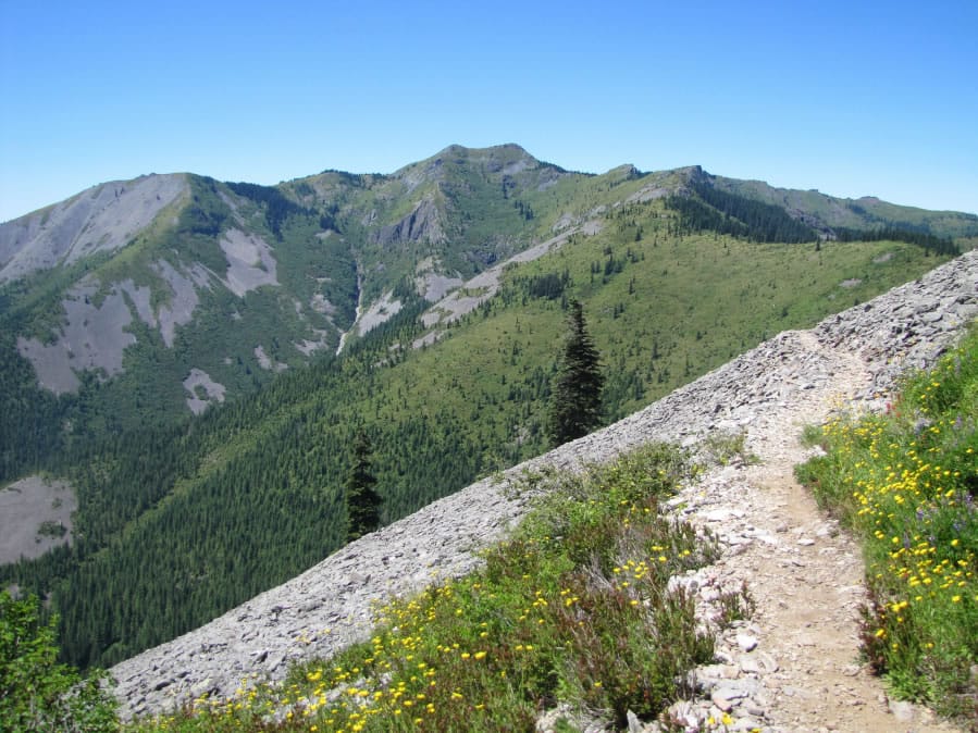 Big views of Bluff Mountain, Little Baldy and Silver Star Mountain (center) are constant along Bluff Mountain trail No. 172 in the Gifford Pinchot National Forest.