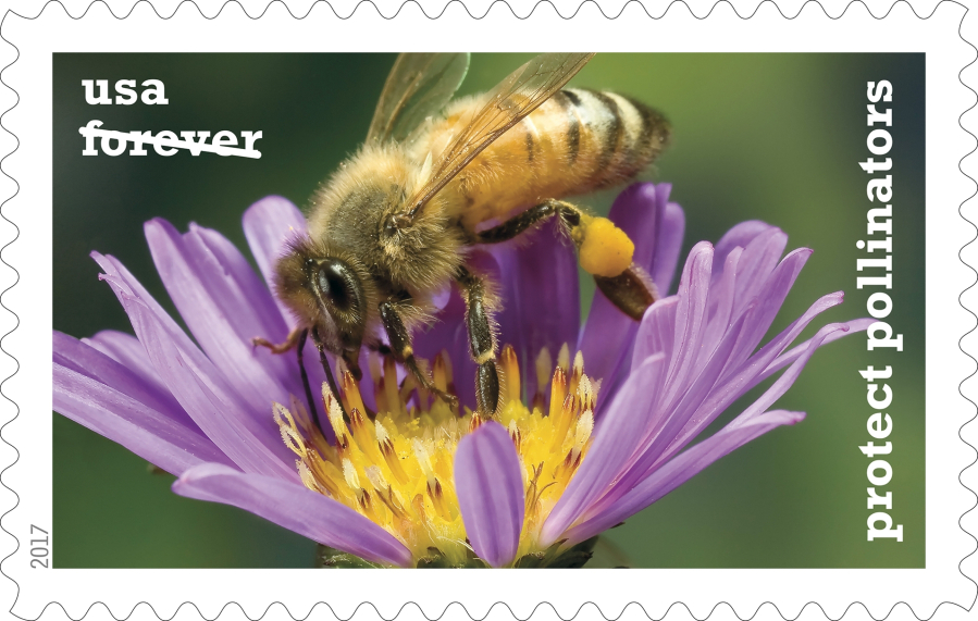 Michael Durham’s pollinator stamp.