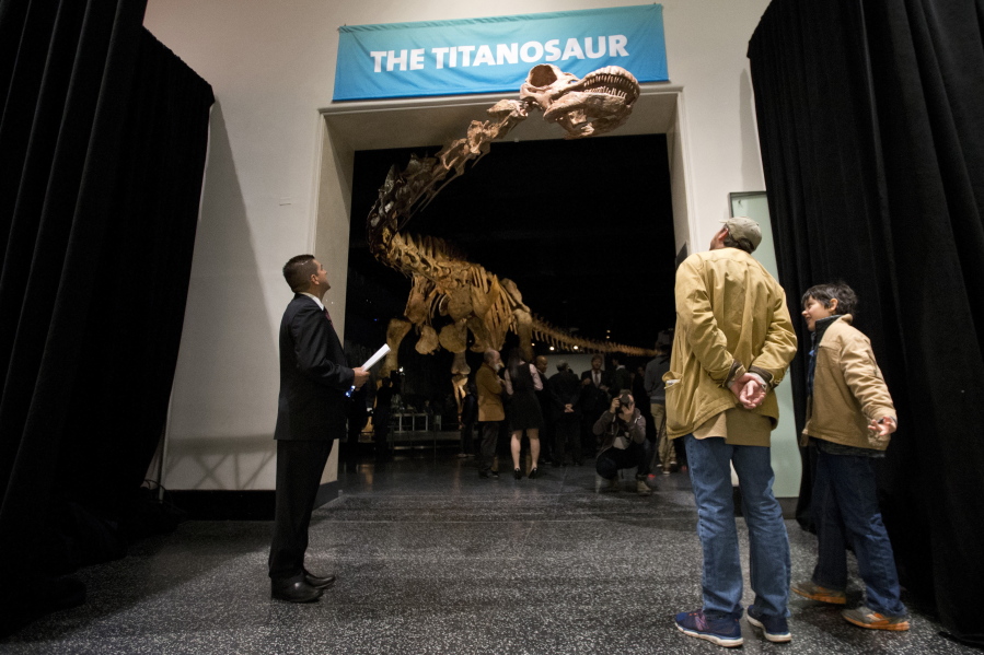 File-This Jan. 14, 2016, file photo shows visitors to the American Museum of Natural History examining a replica of a 122-foot-long dinosaur on display at the American Museum of Natural History in New York. A study proclaims a newly named species the heavyweight champion of all dinosaurs. The plant-eating giant is the largest of a group of dinosaurs called titanosaurs (tye-TAN’-u-sawr). At 76 tons (69 metric tons), the behemoth was as heavy as a space shuttle. A scientific paper released Tuesday, Aug. 8, 2017, describes and dates the fossils found in southern Argentina in 2012. A skeleton of the dinosaur is already on display at the American Museum of Natural History in New York.