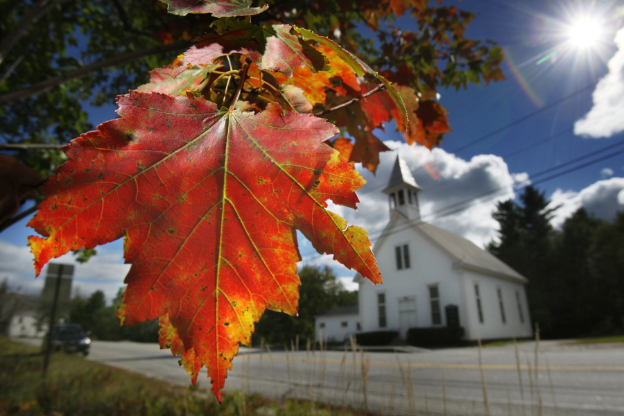 FILE - In this Sept. 17, 2010 file photo, a maple tree shows its fall colors in Woodstock, Maine. New England's 2017 fall foliage forecast is very favorable for leaf peeping. (AP Photo/Robert F.