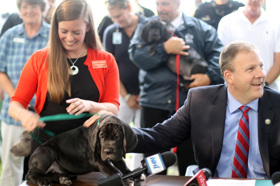 Lindsay Hamrick, New Hampshire director of The Humane Society of the United States, smiles as Republican Gov. Chris Sununu pets a Great Dane puppy on Thursday, Aug. 17, in Wolfeboro, N.H. Sununu was announcing his support for strengthening animal cruelty laws two months after more than 80 dogs were removed from what authorities described as filthy conditions in a Wolfeboro mansion.