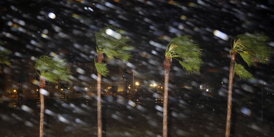 Rain is blown past palm trees as Hurricane Harvey makes landfall Friday in Corpus Christi, Texas.