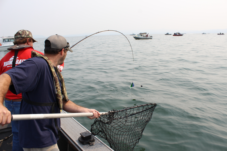 Anglers attempt to net a salmon at Buoy 10. Fishing for coho at the mouth of the Columbia has been slow so far.