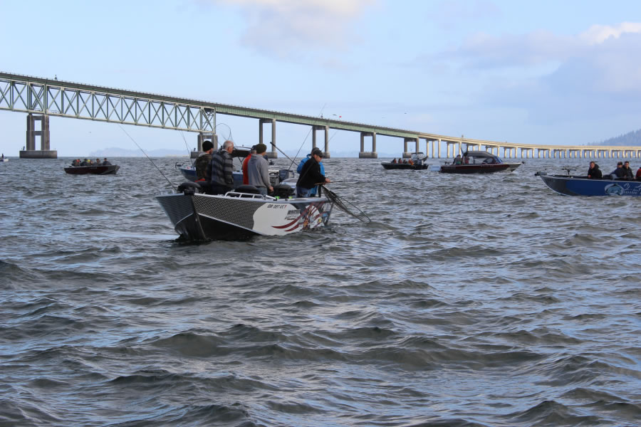 Once a year anglers flock to Buoy 10 and the Astoria-Megler Bridge. This is the biggest salmon fishery in the Lower 48.