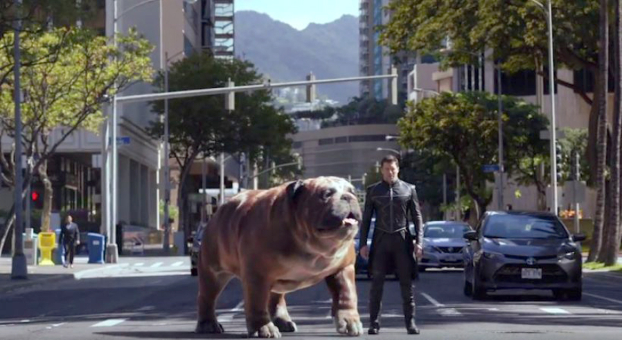 Black Bolt (Anson Mount), hitting the streets with Lockjaw, needs to help ensure that “Marvel’s Inhumans” isn’t a big dog of a release.