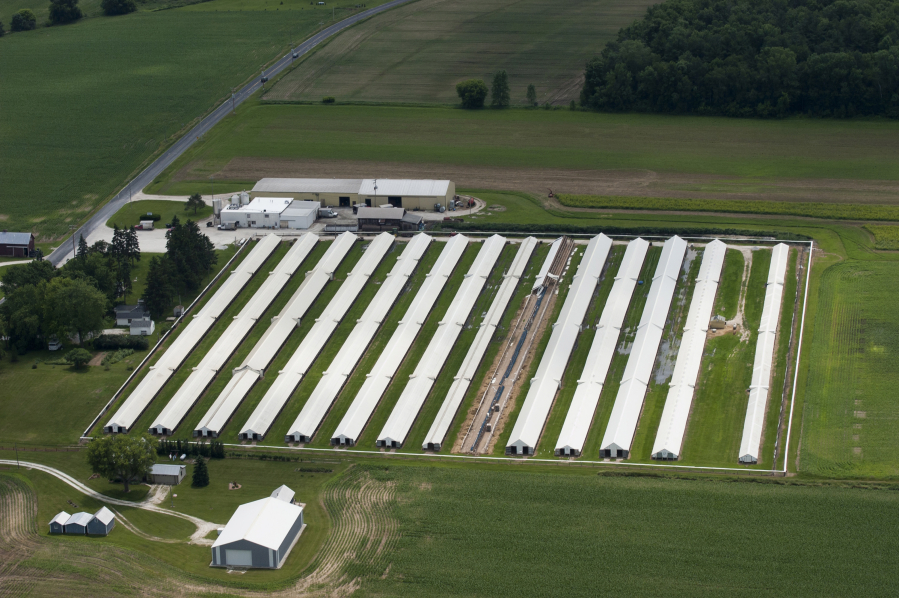 An aerial view of a large dairy farm in Wisconsin. In its “Peel Back the Label” campaign, a dairy industry trade group says nearly 70 percent of American consumers look to food labels when making purchase decisions, but that some of the information is misleading. It has urged food companies to stop using labels such as “GMO-free” for marketing purposes.