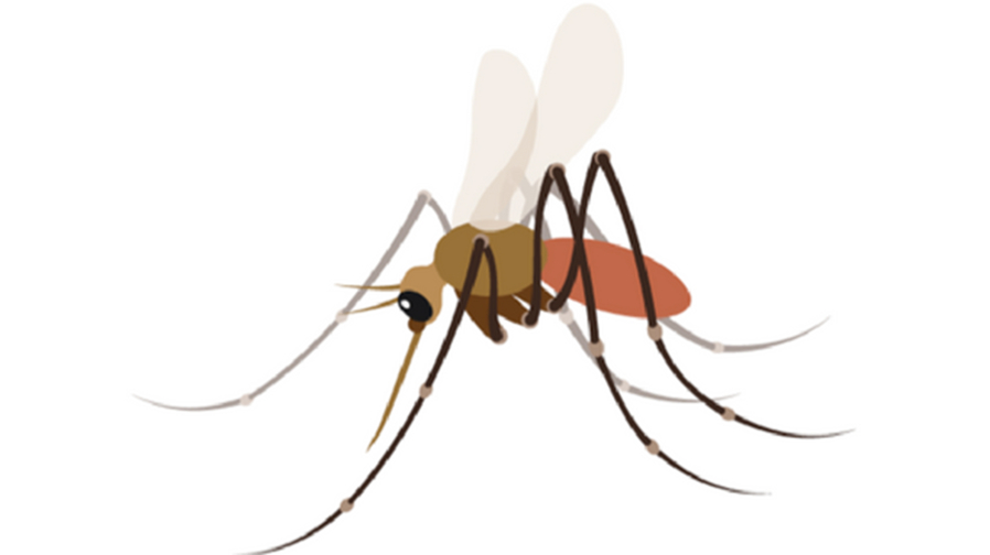A pair of public health workers are seeking to add a mosquito emoji.
