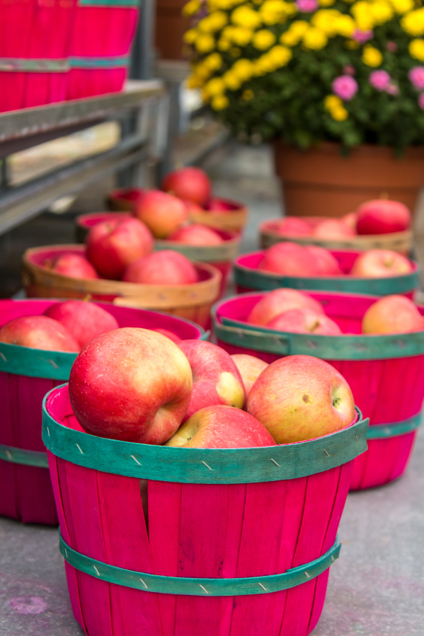 There are more than 7,500 varieties of apple grown around the world.