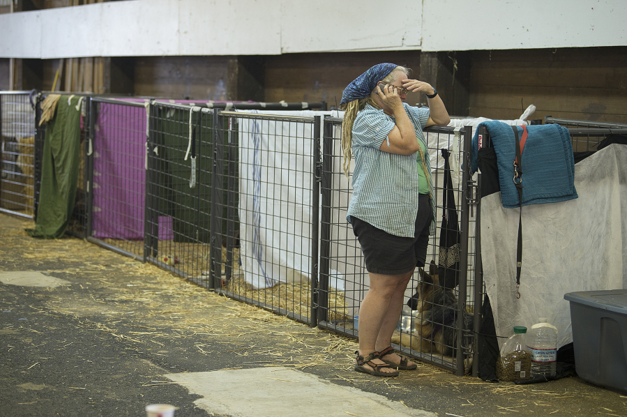 Joy Marley, who lives in west Skamania County, is joined by her German shepherds as she takes a call at the fairgrounds in Stevenson on Tuesday morning. Marley said she was evacuated at 2 a.m. and fled with her dogs to the site. “They are my family,” she said.