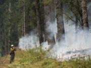 Washington Department of Natural Resources firefighter Chris Werner of Chehalis sprays the south fireline of the Archer Mountain fire on Wednesday, Sept. 6, 2017 in Skamania County.