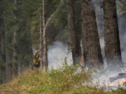 Washington Department of Natural Resources firefighter Chris Werner of Chehalis sprays the south fireline of the Archer Mountain Fire on Wednesday.
