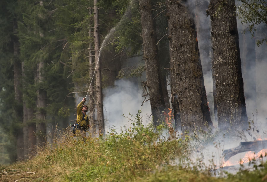 Washington Department of Natural Resources firefighter Chris Werner of Chehalis sprays the south fireline of the Archer Mountain Fire on Wednesday.