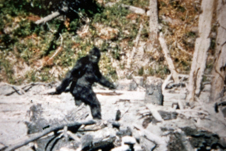 It’s fuzzy. It’s blurry. It’s weird and alarming. But the so-called Patterson-Gimlin film fragment from 1967, which purports to show Bigfoot ambling off into the Northern California woods, has never been debunked.