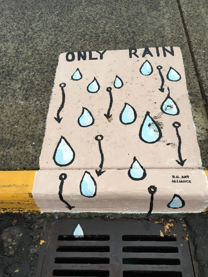 Battle Ground: The Battle Ground Art Alliance, city and Lower Estuary Columbia Partnership teamed up to paint murals on storm drains around the city.