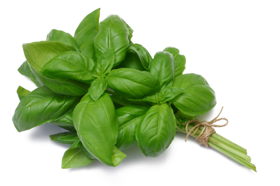 Herbs and spices, such as this oregano, can add a new dimension to your home cooking.