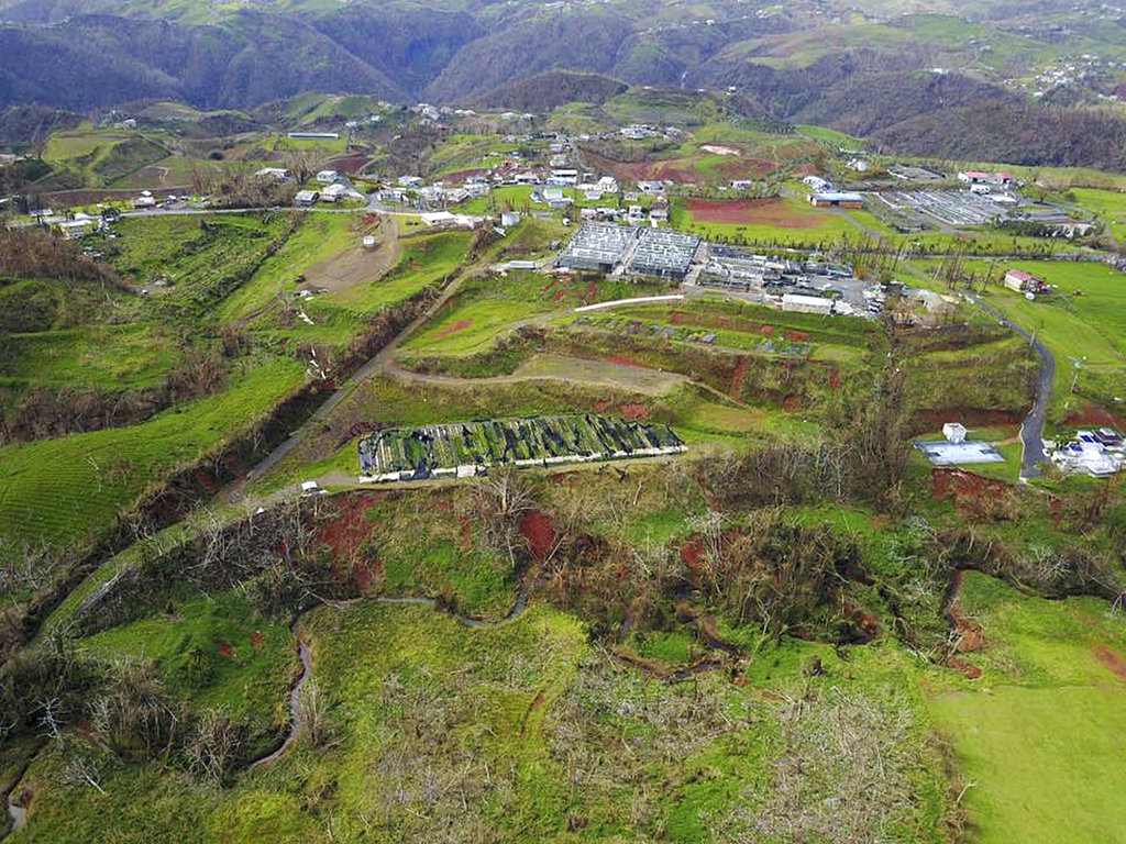 This undated photo provided by Hector Alejandro Santiago shows his farm in Barranquitas, Puerto Rico, destroyed by September 2017’s Hurricane Maria. Farmers fear Puerto Rico's small but diverse agricultural sector may never recover from the destruction to one of the island's economic bright spots.