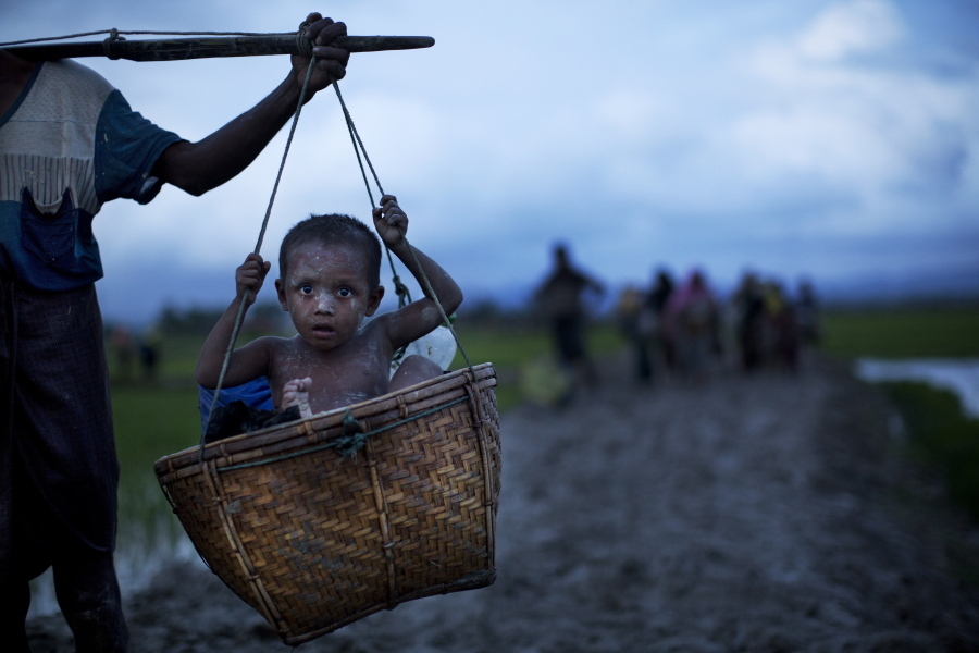 An ethnic Rohingya child from Myanmar is carried in a basket past rice fields Friday after crossing over to the Bangladesh side of the border near Cox’s Bazar’s Teknaf area. Myanmar’s military says almost 400 people have died in recent violence in the western state of Rakhine triggered by attacks on security forces by insurgents from the Rohingya. Advocates for the Rohingya, an oppressed Muslim minority in overwhelmingly Buddhist Myanmar, say hundreds of Rohingya civilians have been killed by security forces. Thousands have fled into neighboring Bangladesh.