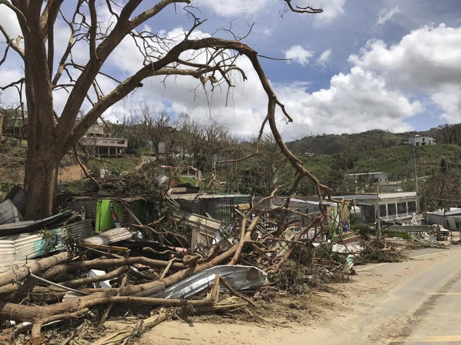 This undated photo provided by Hector Alejandro Santiago shows his farm in Barranquitas, Puerto Rico, destroyed by September 2017’s Hurricane Maria. For 21 years Santiago raised poinsettias, orchids and other ornamental plants which were sold to major retailers including Costco, Walmart and Home Depot. In a matter of hours Maria wiped it away.