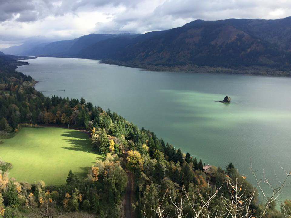 The scenic beauty of the Columbia River Gorge.