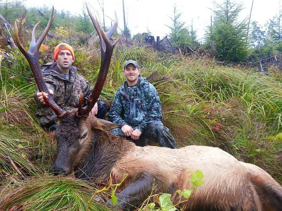 Brian Lewis, (right), of Twisted Horn Outfitters poses with a client and a quality Roosevelt bull elk taken in SW Washington.