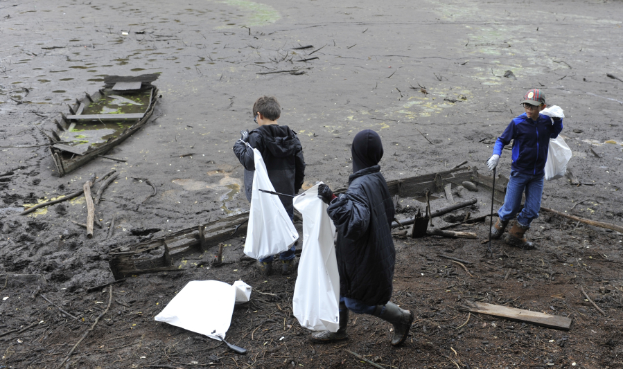 Volunteers, including members of Boy Scout Pack 424, took advantage of Lacamas Lake’s lowered water level to pull trash out of the lake bed Saturday.