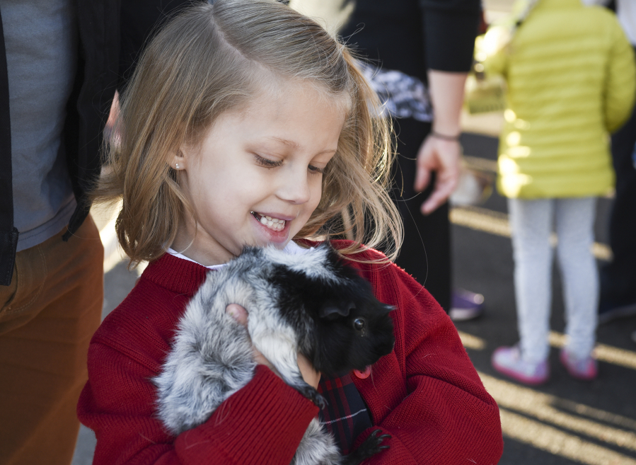 Valkyrie Knutson, 6, holds her family guinea pig, Chummly, during an animal blessing Wednesday at St. Joseph Catholic School in Vancouver.