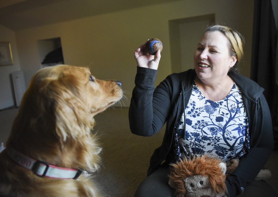 Lori Hultman entices her 4-year-old golden retriever, Lily Pad, with a ball at her home in Vancouver on Monday. The Morris Animal Foundation is following 3,000 golden retrievers, including Lily Pad, over the course of their lives to determine what might cause cancer in this breed that is prone to the illness. At top, Lily Pad as a puppy.