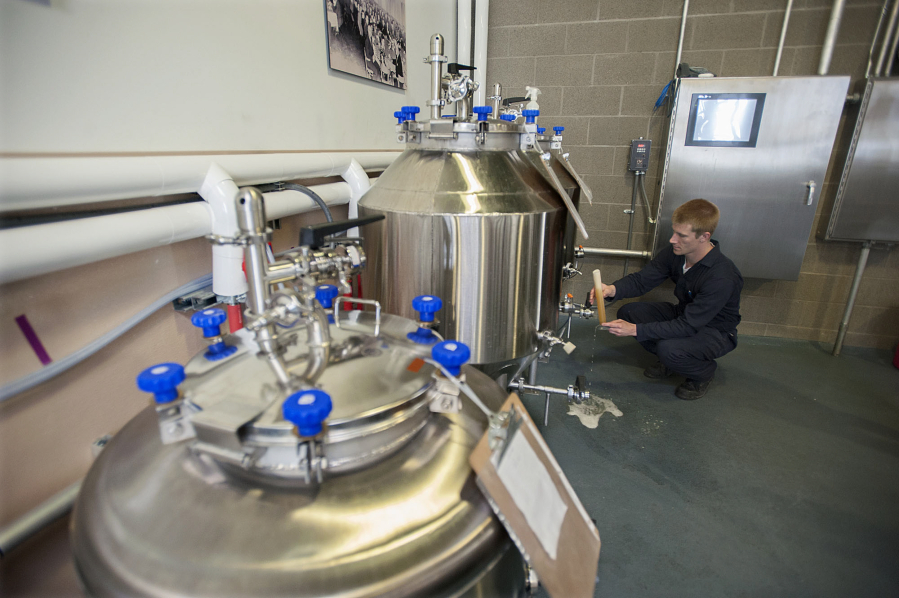 Laboratory technician Zach Anderson checks the progress of fermentation for a pale ale as he works in the Great Western Malting Co.’s test brewery in May 2016.