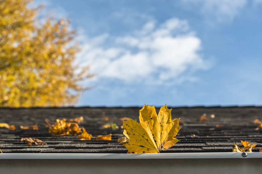 Fall maintenance tasks are important to keeping your home in good shape for winter. For example, make sure your roof is properly sealed and repaired.