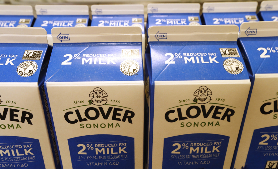 Cartons of milk packaged at the Clover Sonoma dairy plant bear the non-GMO label, signifying they do not contain genetically modified organisms.