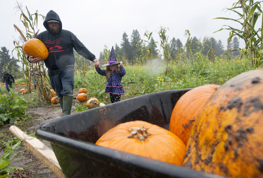 Mike Carlson and his daughter, mini-witch Courtney, scare up the perfect pumpkin at Bi-Zi Farms a couple of years ago.