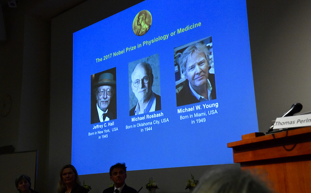 Winners of the 2017 Nobel Prize for Medicine are displayed, from left, Jeffrey C. Hall, Michael Rosbash and Michael W. Young, during a press conference in Stockholm, Monday Oct. 2, 2017. The Nobel Prize for Medicine has been awarded to the three Americans for discoveries about the body's daily rhythms.