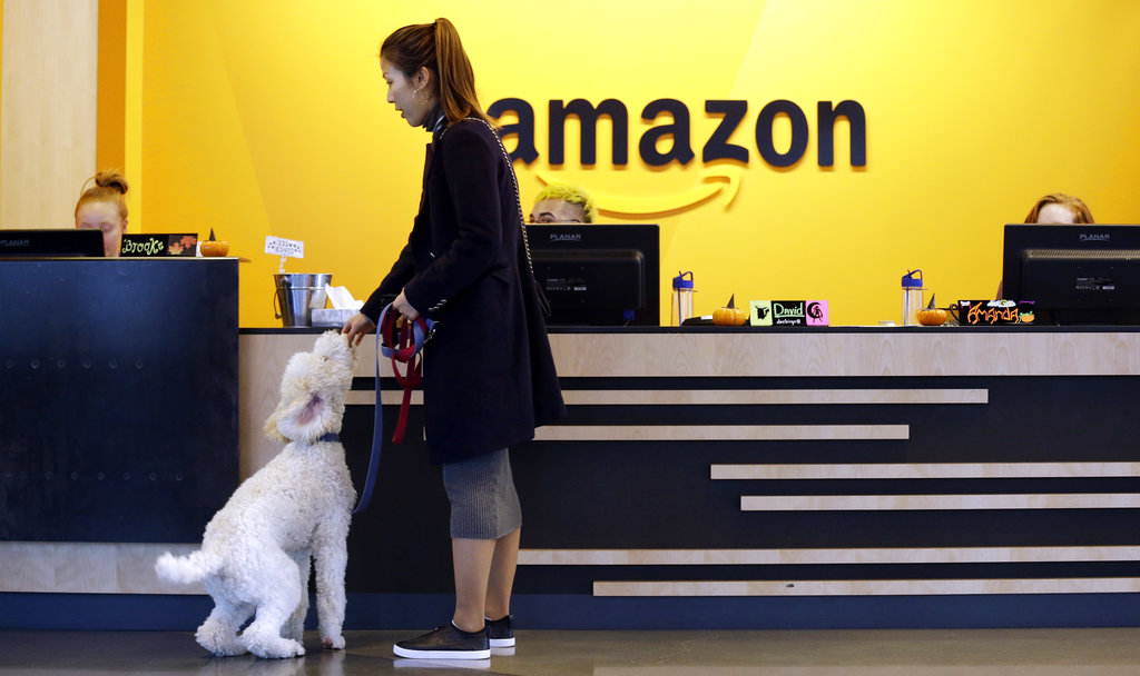 FILE - In this Wednesday, Oct. 11, 2017, file photo, an Amazon employee gives her dog a biscuit as the pair head into a company building, where dogs are welcome, in Seattle. Amazon says it received 238 proposals from cities and regions hoping to be the home of the company's second headquarters. The online retailer kicked off its hunt for a second headquarters in September, promising to bring 50,000 new jobs. It will announce a decision sometime in 2018.